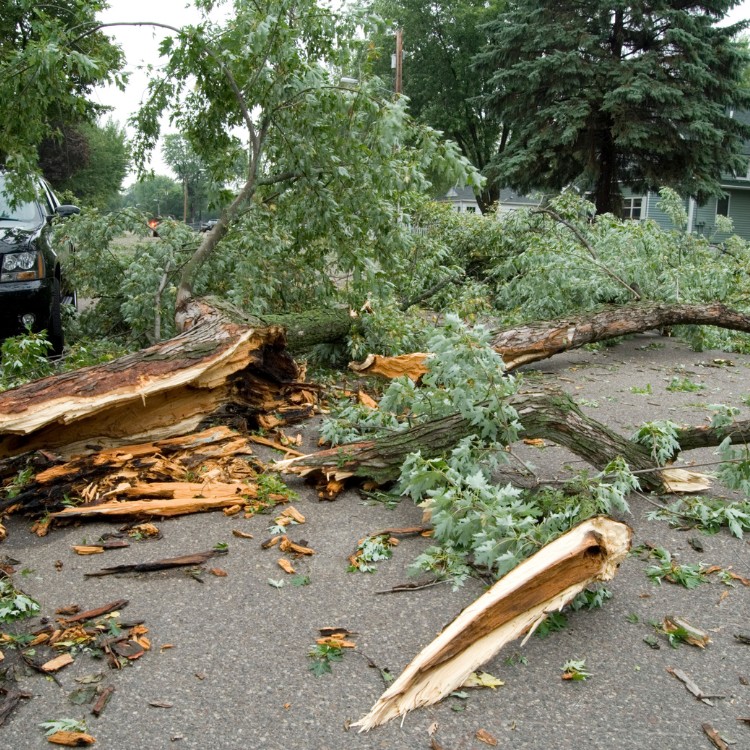 Junk removal services in Elizabeth, NJ