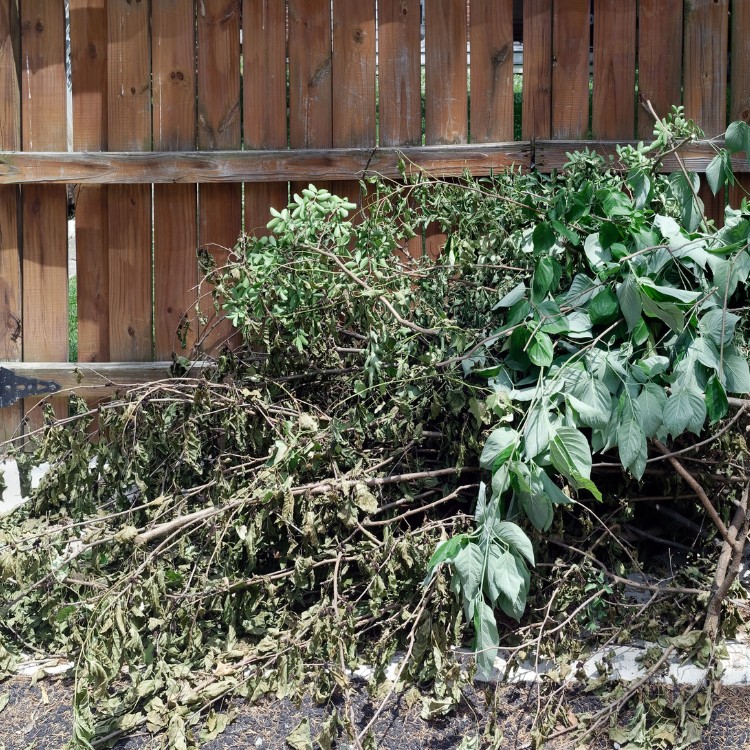 Junk removal services in Elizabeth, NJ